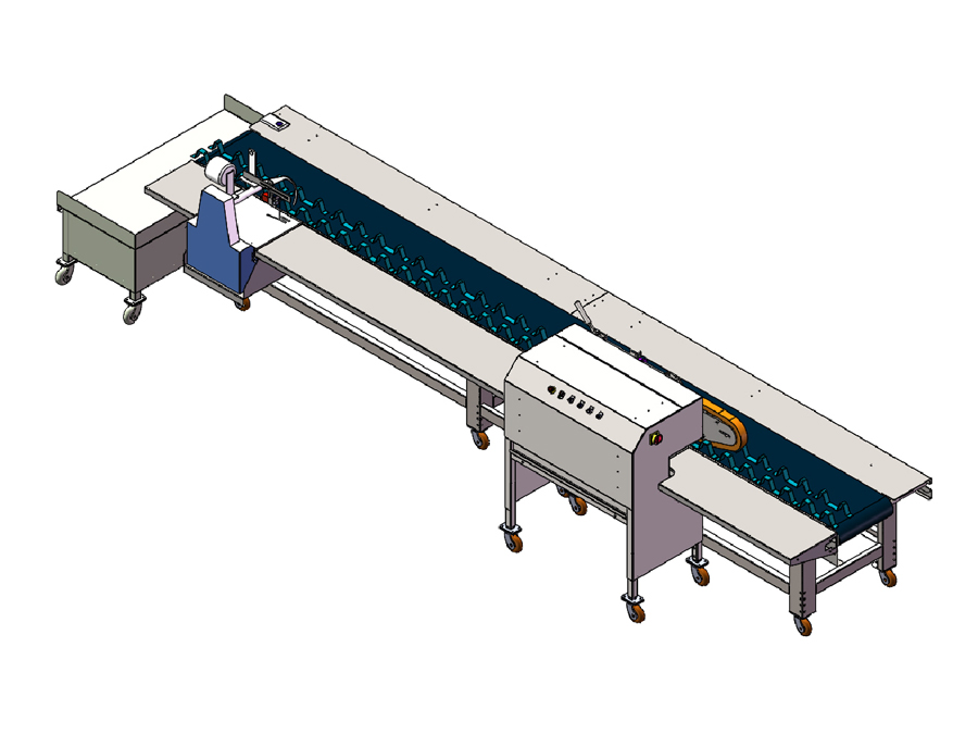 4.8m Vegetable Wide Cutting And Bundling Line